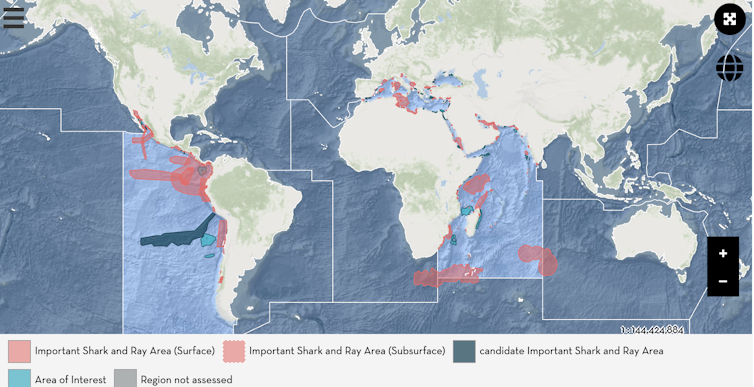 A world map shows zones that scientists have identified as Important Shark and Ray Areas in the Pacific and Indian oceans and the Mediterranean Sea.