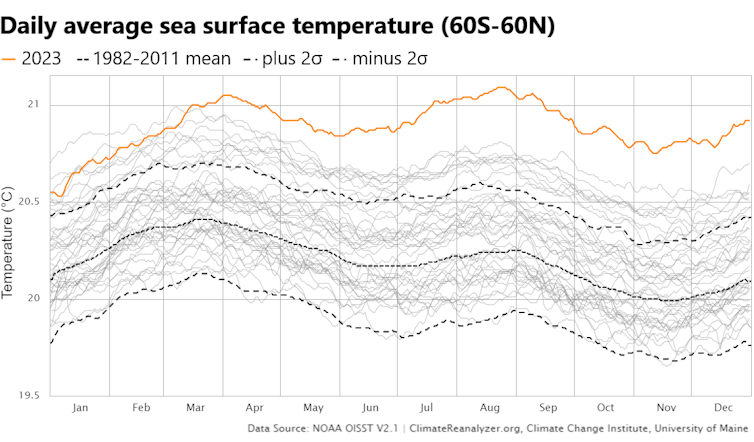 A chart of daily global average ocean temperatures since 1981 shows 2023 heat far above any other year starting in mid-March and staying there through the year.