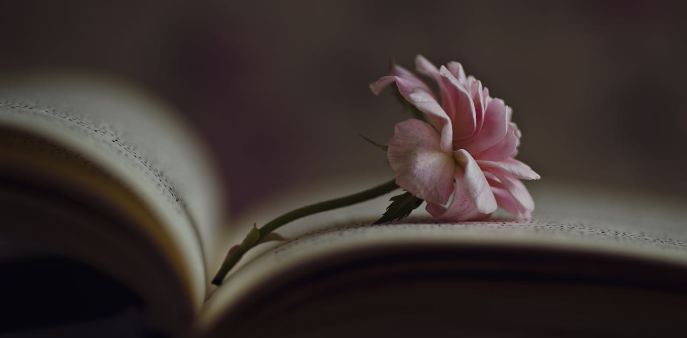 ‘Thirst trap’ and ‘edgelord’ were recently added to the dictionary – so why hasn’t ‘nibling’ made the cut? ‘Thirst trap’ and ‘edgelord’ were recently added to the dictionary – so why hasn’t ‘nibling’ made the cut?