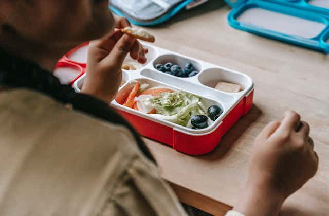 A student eats from a lunchbox containing green salad, crackers and blueberries.