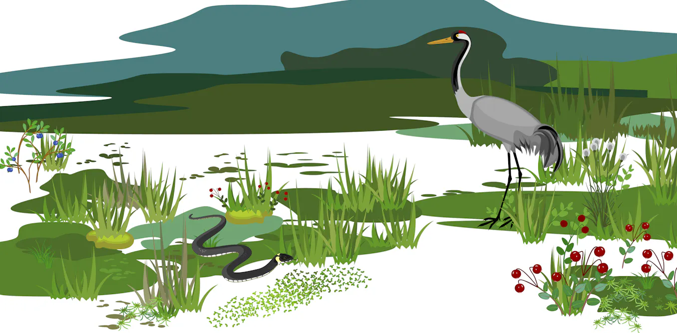 Pourquoi doit-on prendre soin de la biodiversité ? Pourquoi doit-on prendre soin de la biodiversité ?