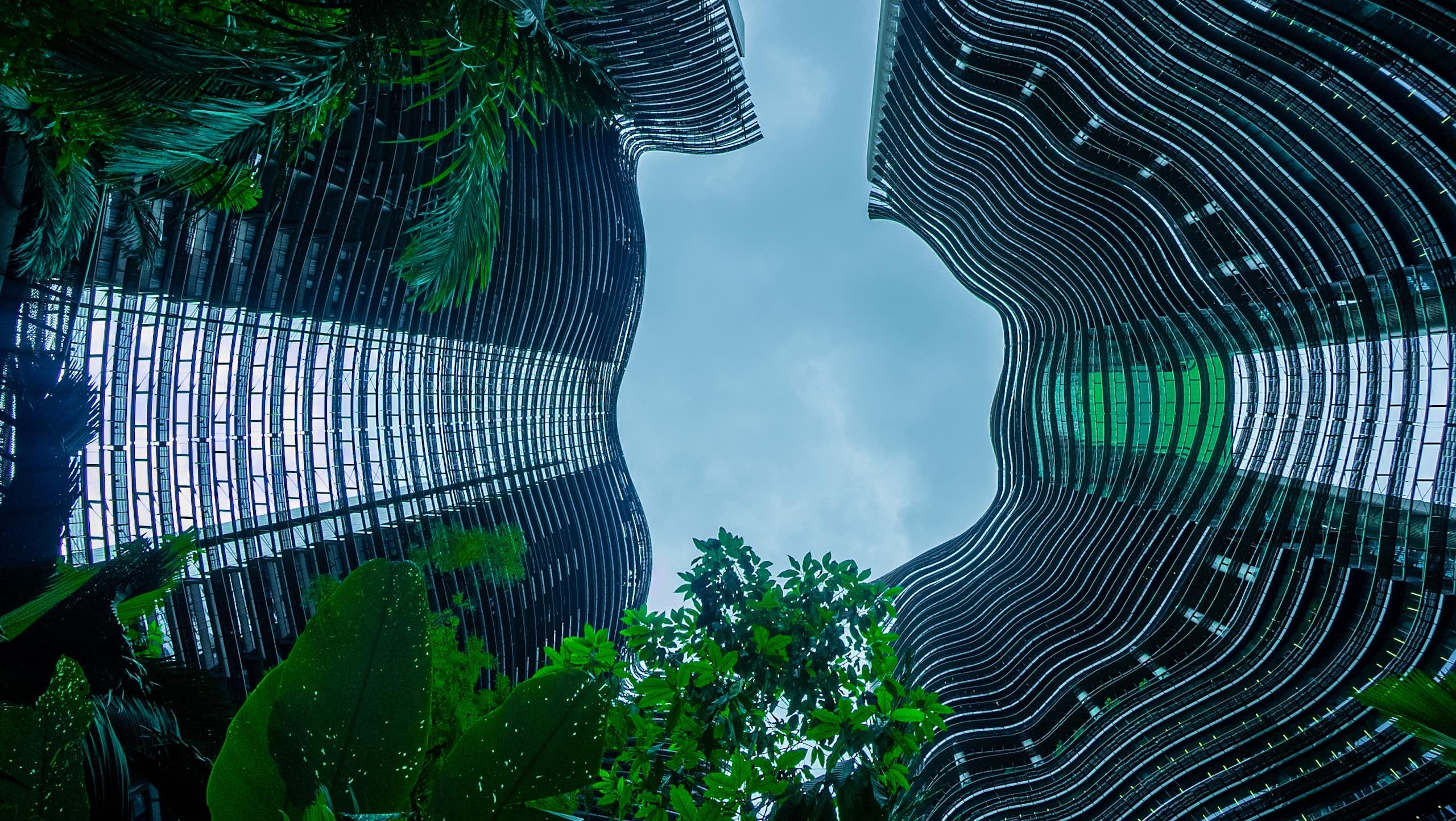 Trees surrounded by a tall glass building. 