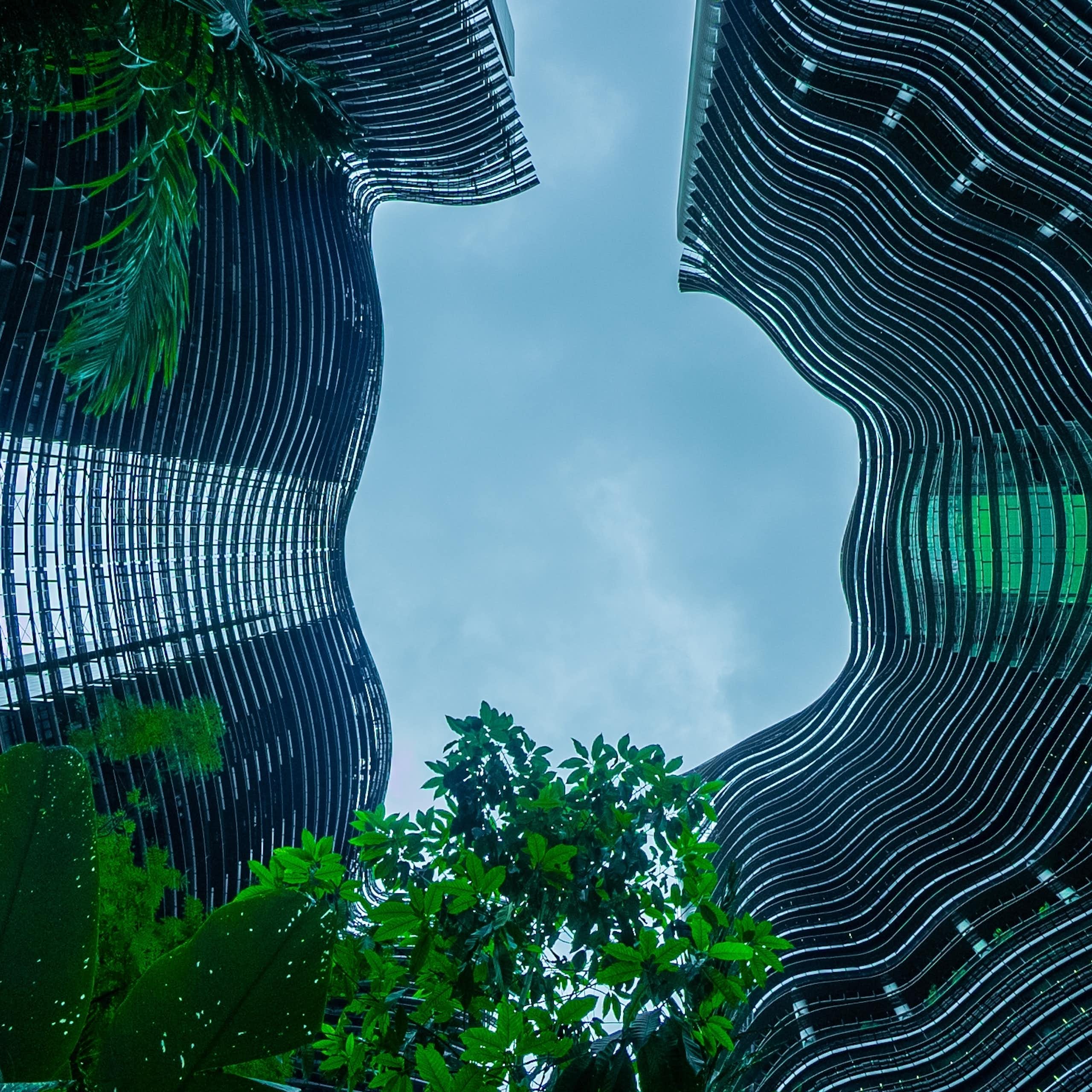 Trees surrounded by a tall glass building. 