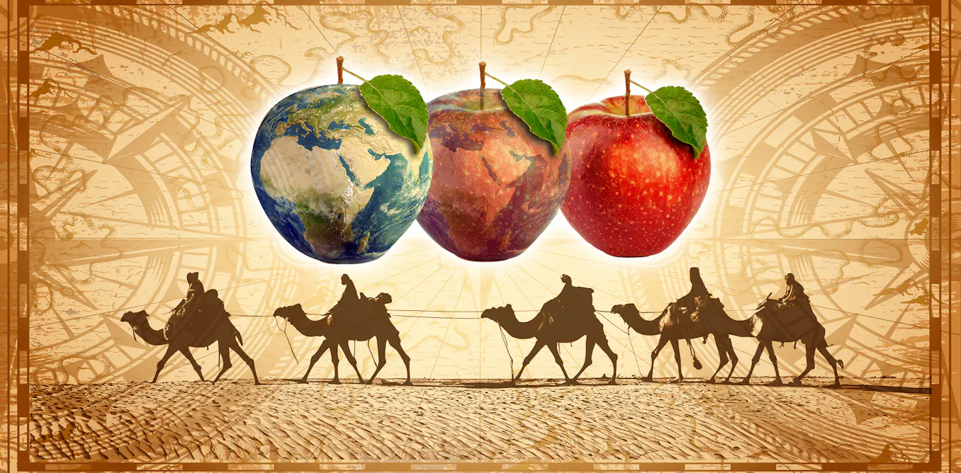 El fascinante viaje intercontinental de las manzanas