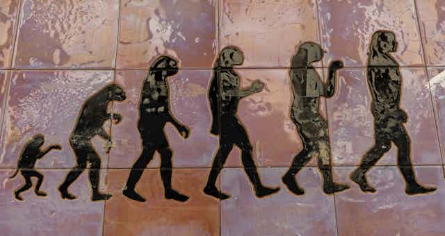 Ilustração mostra evolução humana desde uim pequeno primata até um homem moderno