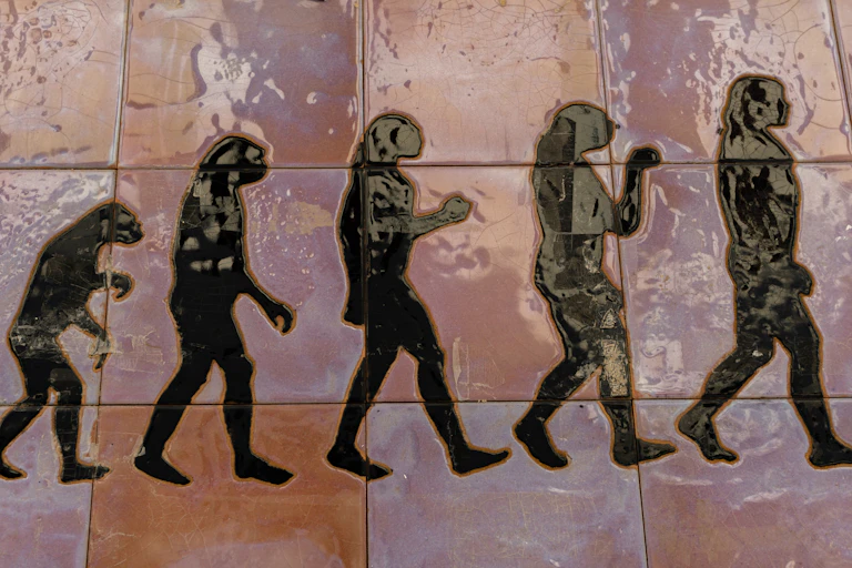 Ilustração mostra evolução humana desde uim pequeno primata até um homem moderno