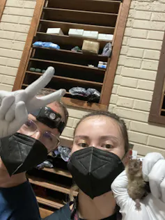 Two people wearing face masks, one with a headlamp and one holding a small bat up to the camera