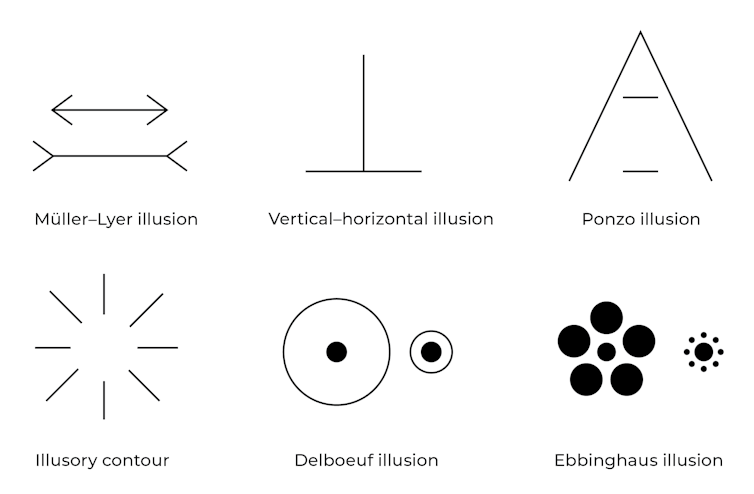 Muller-Lyer illusion; Vertical-horizontal illusion; Ponzo illusion; Illusory contour; Delboeuf illusion; Ebbinghaus illusion