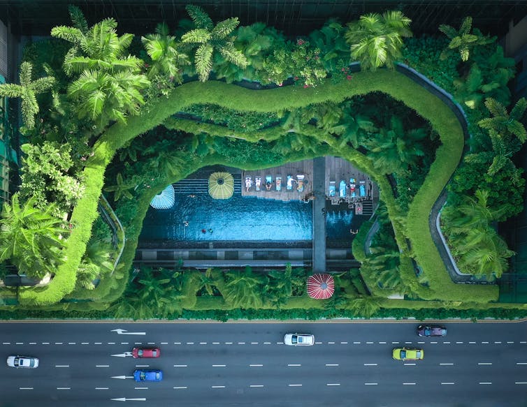 An overhead view of greenery in a city next to a road.