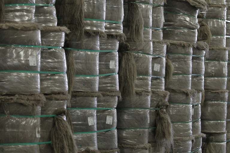 Des rouleaux de fibres de lin