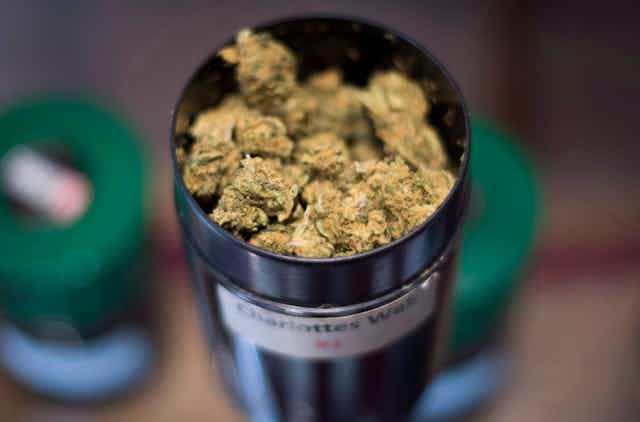 A tin of cannabis bud