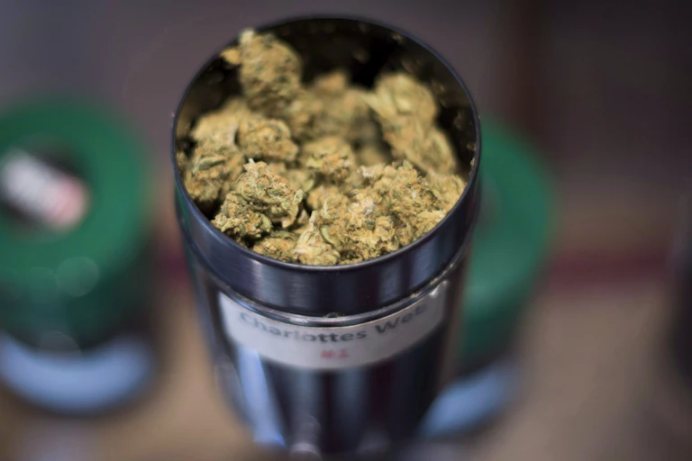 A tin of cannabis bud