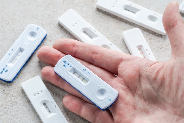 A hand holds a positive COVID test, surrounded by other rapid tests.