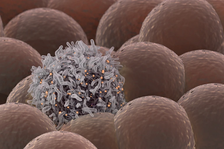 https://www.shutterstock.com/es/image-illustration/cancer-cell-among-healthy-cells-536117293