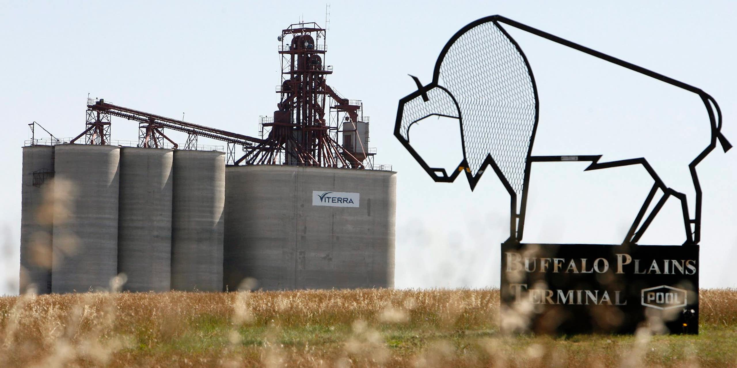 A wire sculpture of a buffalo with the words 'Buffalo Plain Terminal' sits in the foreground, while a grain elevator is seen in the background 