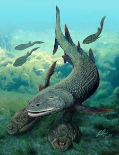 A large fish found on the ocean floor and two smaller armored fish beneath it.