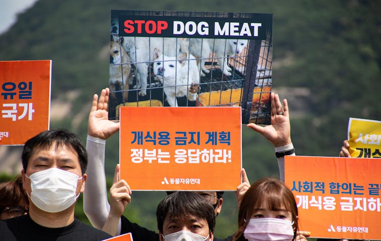 Members of an animal activist group hold placards during a campaign against eating dog meat.
