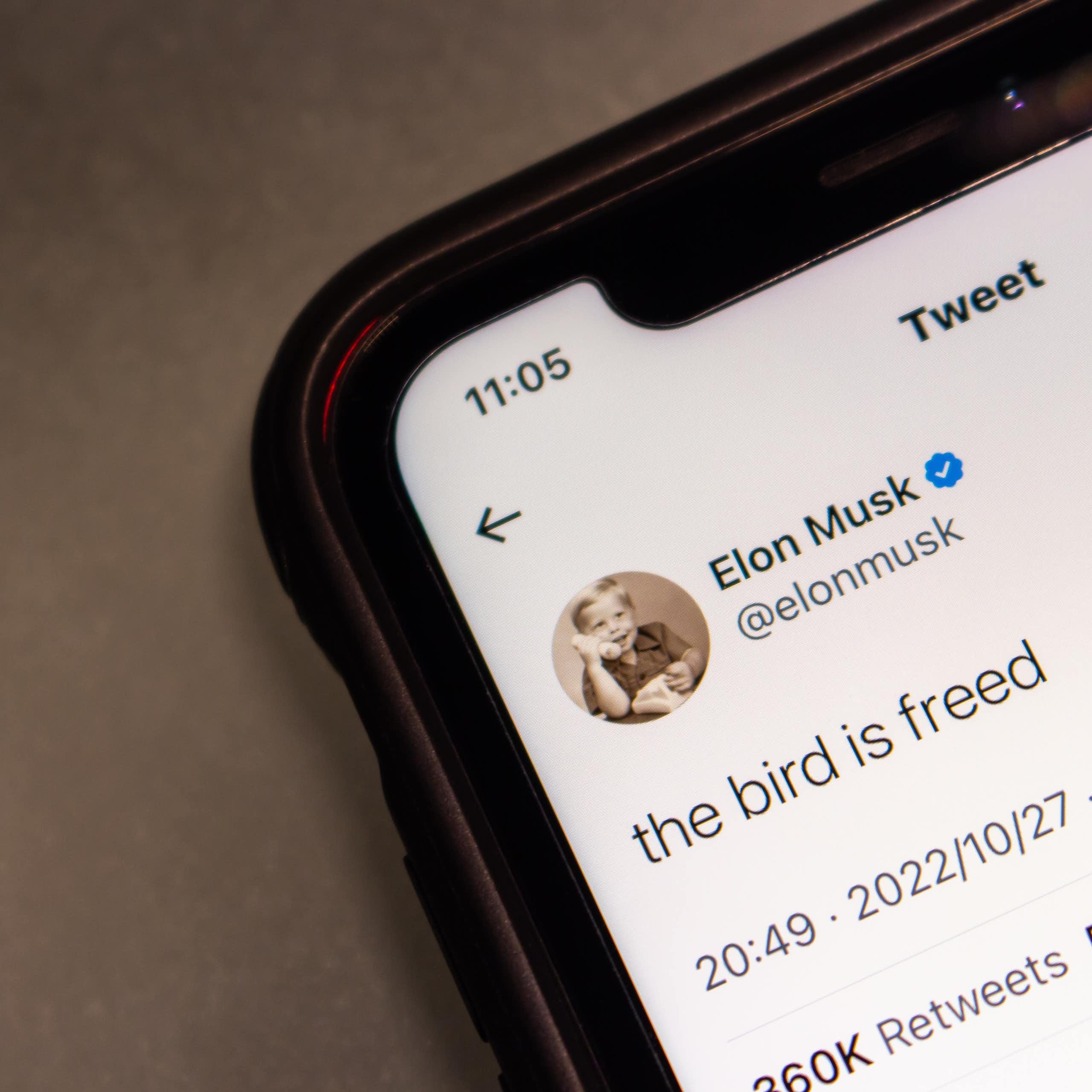 Photo of a phone with a tweet from Elon Musk: "the bird is freed".