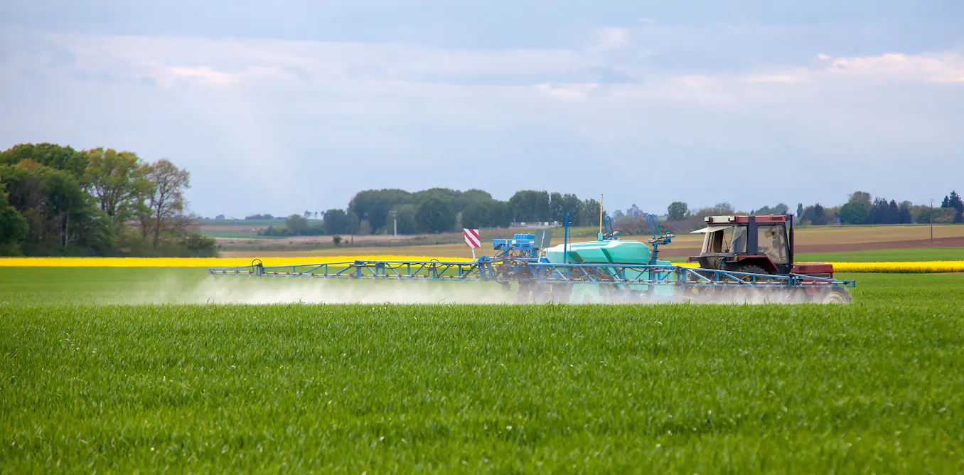 focus sur les effets du chlorpyrifos focus sur les effets du chlorpyrifos