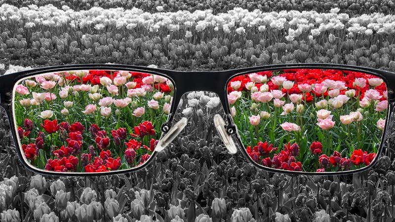 Seis formas de potenciar el optimismo Seis formas de potenciar el optimismo