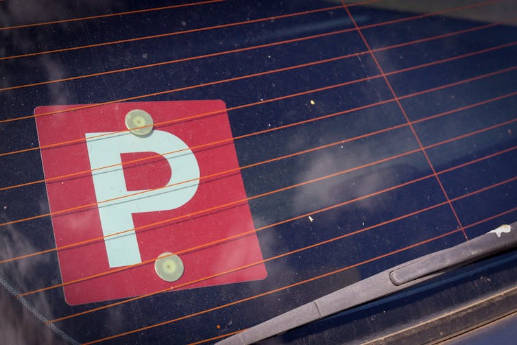 P-plate on a rear car window