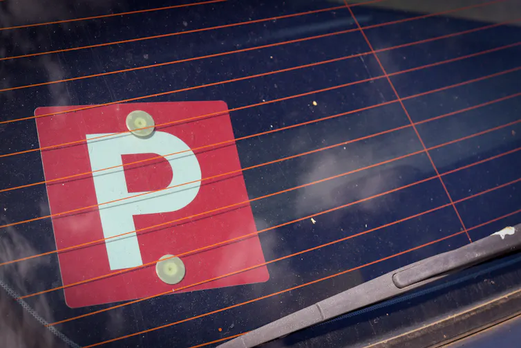 P-plate on a rear car window