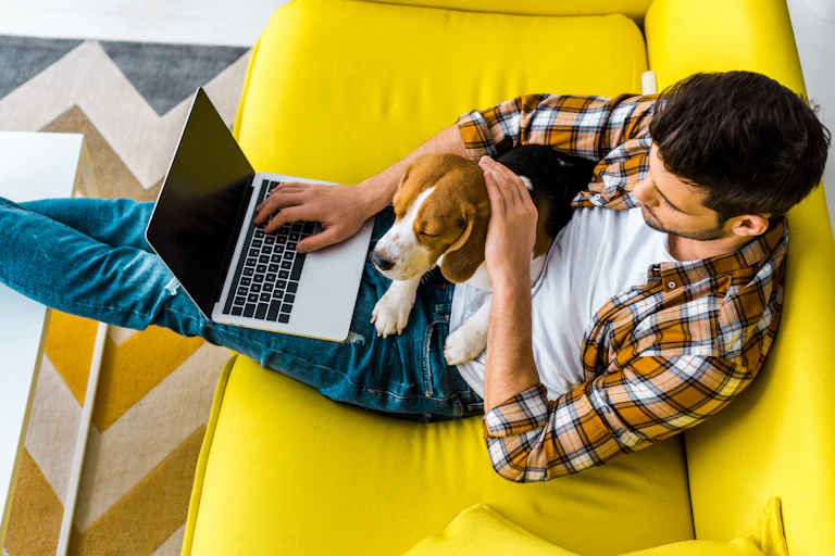Man strokes dog sitting on his lap as he types on a lap top with his free hand.