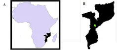 Maps of Africa and Mozambique.