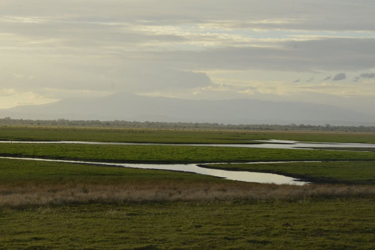 Flat landscape with patches of water.