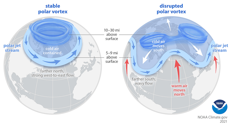 Two globes, one showing a ring around the Arctic and the other showing a snaky line much farther south.