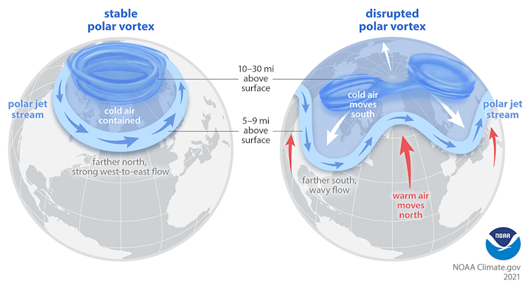 Cómo el vórtice polar y el océano cálido están intensificando una gran tormenta invernal en EE. UU. 4 Dos globos, uno que muestra un vórtice polar estable y el otro una versión trastornada que trae un frío brutal al sur.