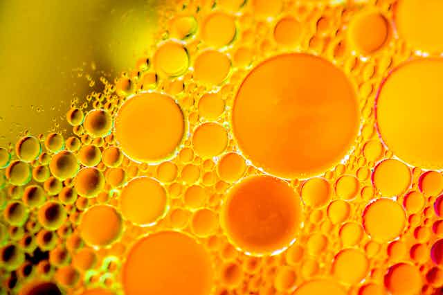 Close-up of golden drops of oil suspended in water
