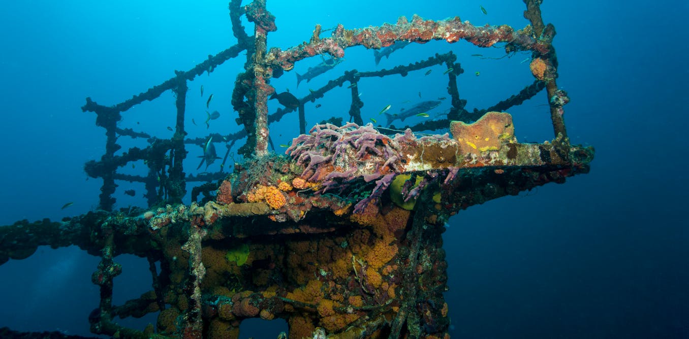 Not all underwater reefs are made of coral − the US has created artificial reefs from sunken ships, radio towers, boxcars and even voting machines
