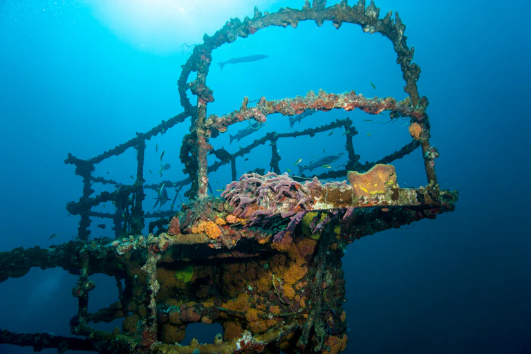 A ship's prow covered with coral and other marine life