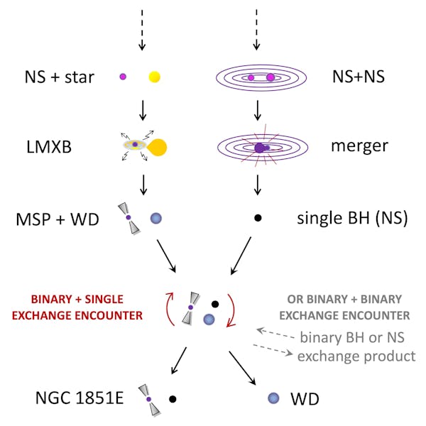 Possível histórico de formação do sistema. O pulsar de milissegundos (MSP) foi criado em um binário de raios X de baixa massa (LMXB) que deixou uma anã branca (WD) como companheira. Posteriormente, por meio de um processo de encontro de troca, a WD foi substituída pela atual estrela companheira - um buraco negro leve (BH) ou uma estrela de nêutrons pesada (NS) - ela própria resultado de uma fusão anterior entre duas NSs
