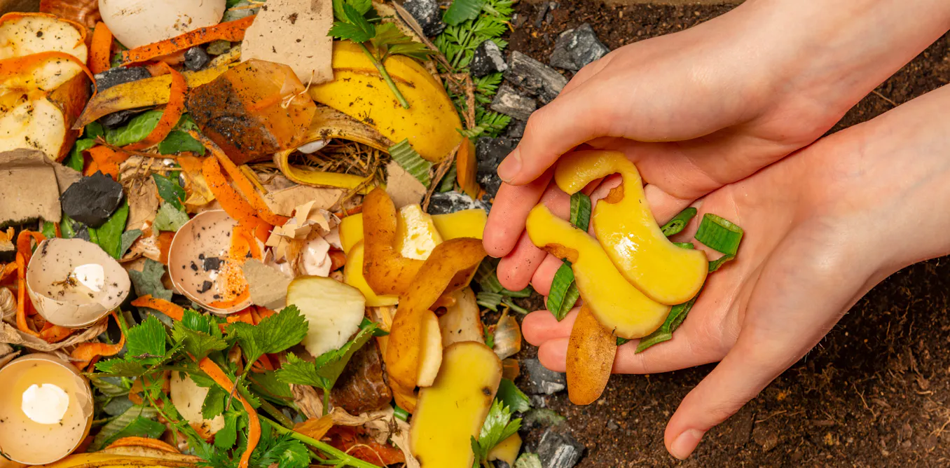 Déchets alimentaires : à quoi va servir le nouveau tri à la source ? Déchets alimentaires : à quoi va servir le nouveau tri à la source ?