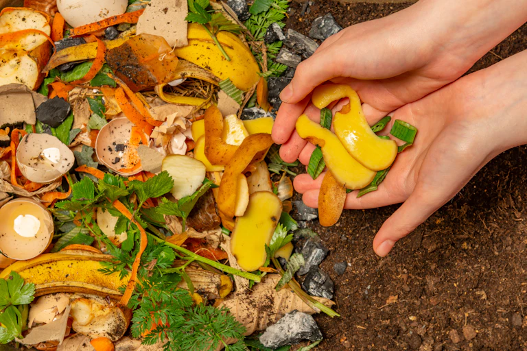 main qui dépose des épluchures de légumes