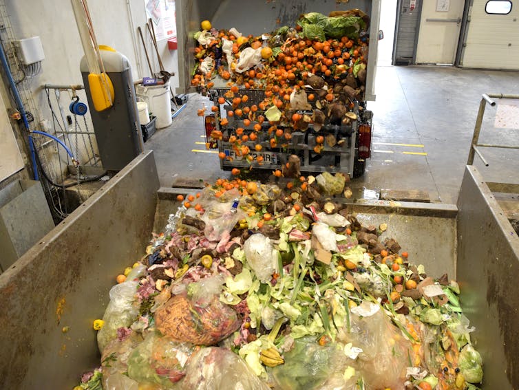 Des déchets organiques se déversent d’un camion dans un bâtiment