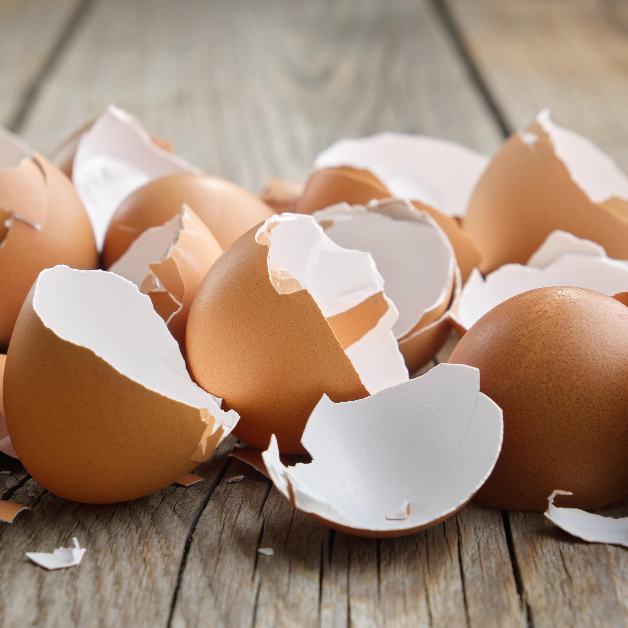 Los sorprendentes usos biomédicos de la cáscara de huevo