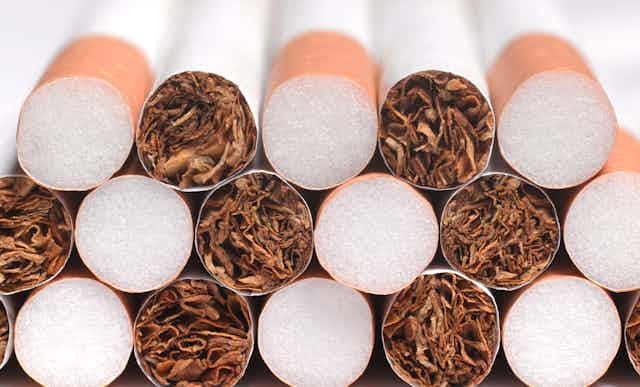 close up of cigarette ends 