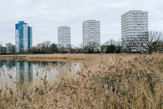 HIgh-rise blocks with a field and a lake.