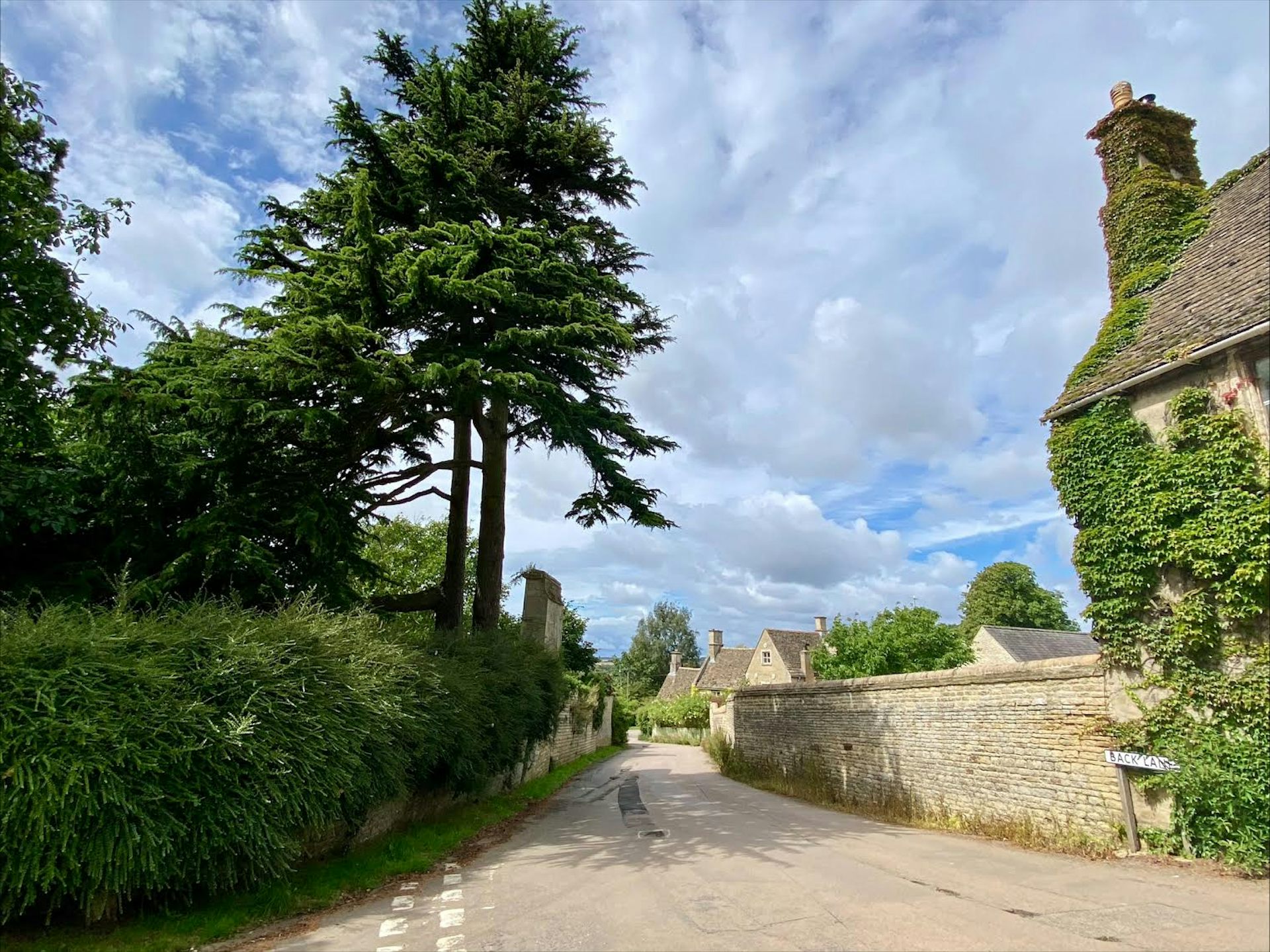 a quiet, leafy country road.