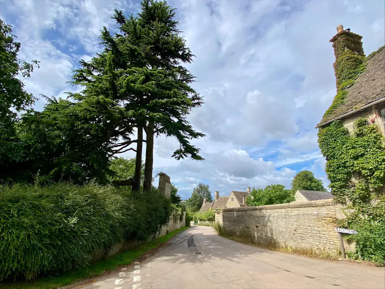 a quiet, leafy country road.