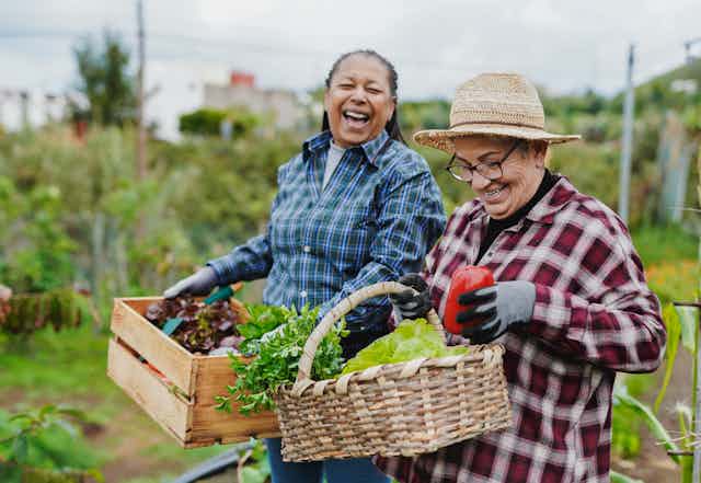 Two older women carrying fresh vegetables in an allotment.