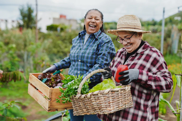 Two older women carrying fresh vegetables in an allotment.