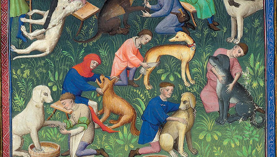 Dogs being taken care of in an image from Livre de la Chasse (Book of the Hunt). 