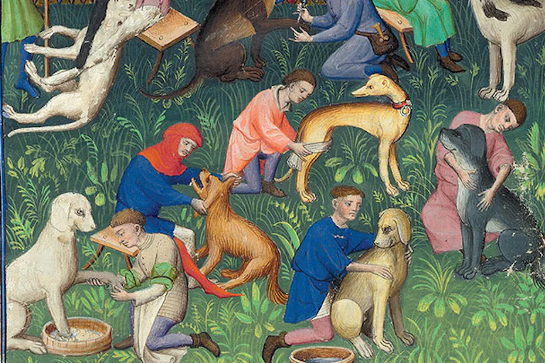Dogs being taken care of in an image from Livre de la Chasse (Book of the Hunt).