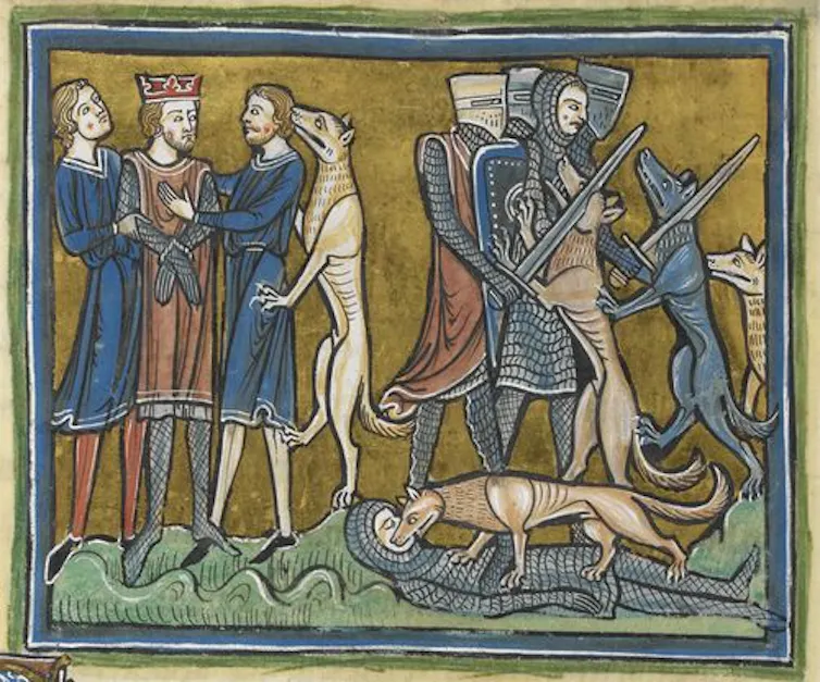 Dogs in a battle with kings