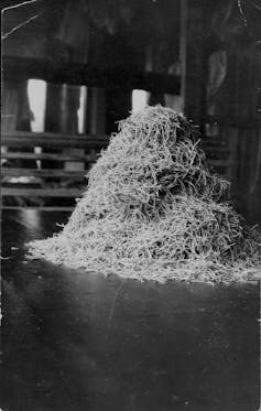 Black and white photo, looks like a haystack