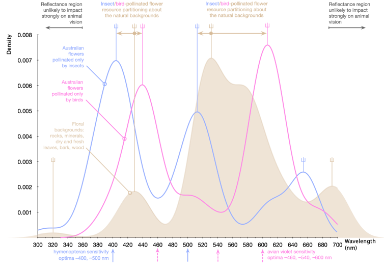 Graph of marker point frequencies across wavelength for backgrounds, bird and insect pollinated flowers.